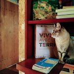 chambre d'hôtes en Dordogne, la chatte Vénus